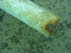 tid003_pipe