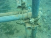 tid005_platform
